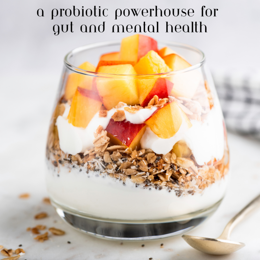 A Probiotic Powerhouse for Gut and Mental Health Los Angeles Birth Doula